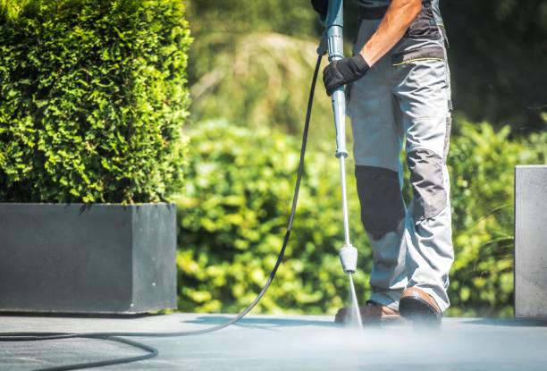 Best Roof Cleaning and Mildew Removal in Winnebago, IL